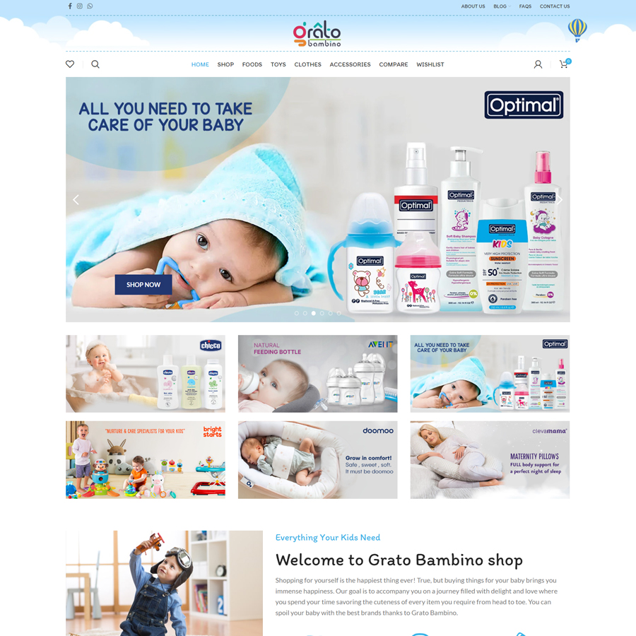 E-Commerce - Web Development and Web Design