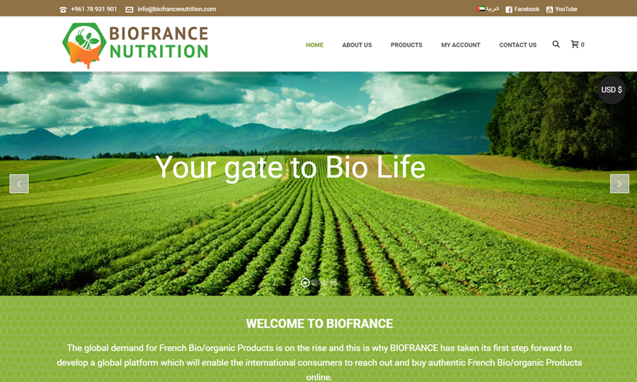 E-Commerce - Web Design & Web Development - Qatar