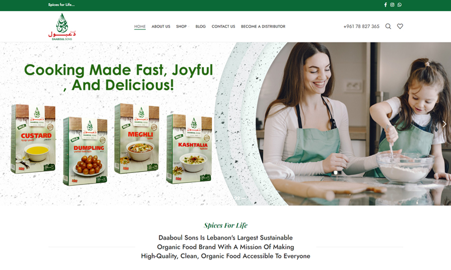 E-Commerce - Web Design & Web Development - Qatar
